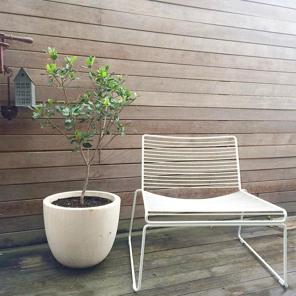 Hay Wire Lounge Chair Style