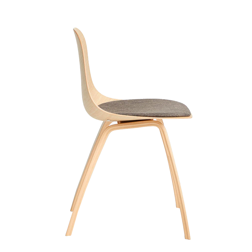 Cocoon Dining Chair