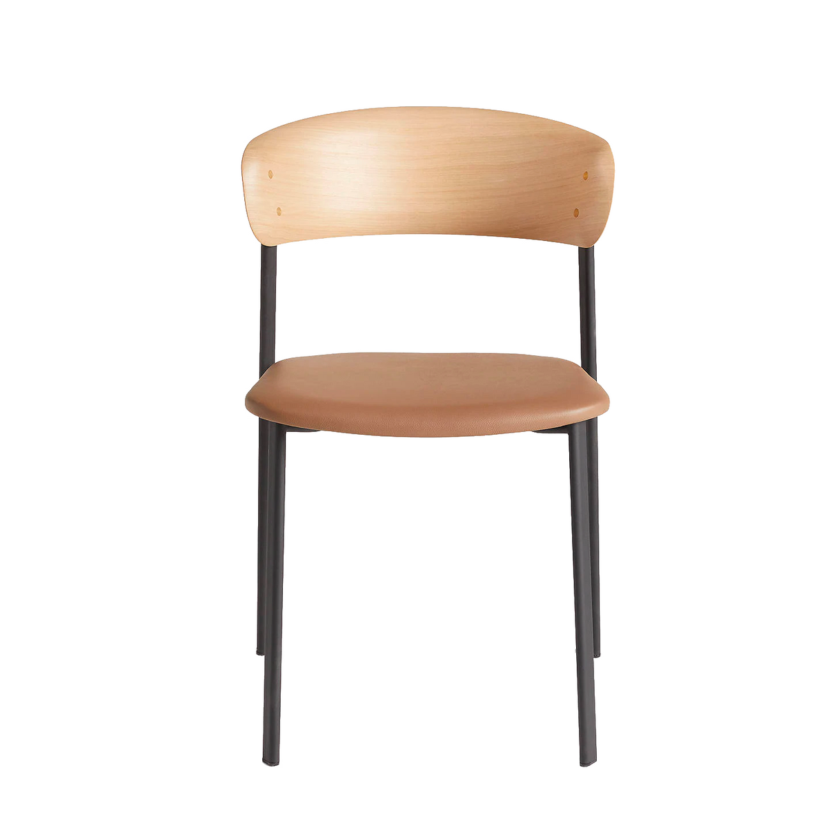 Curve Dining Chair