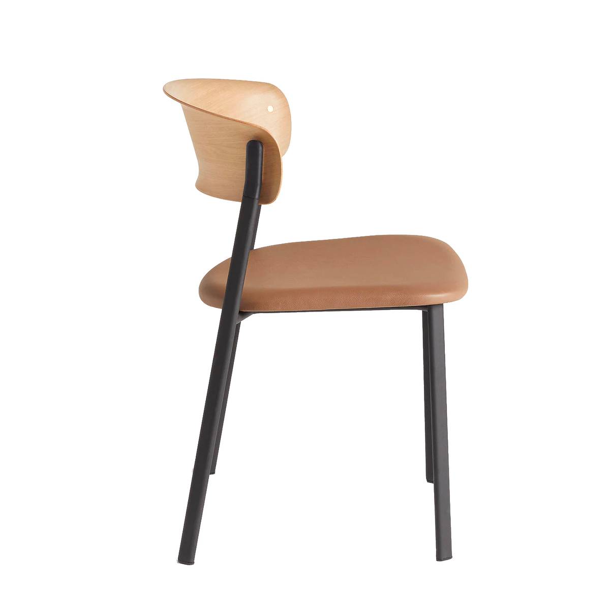 Curve Dining Chair
