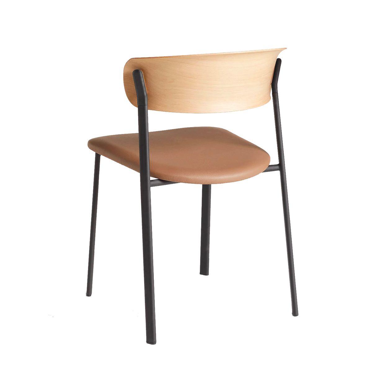 Curve Dining Chair